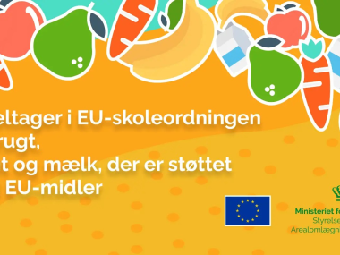 EU-skoleordning